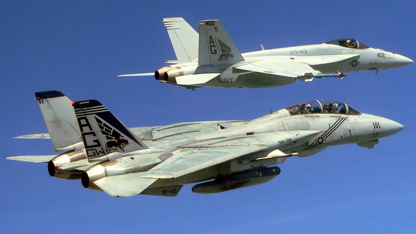 why-was-the-grumman-f-14-tomcat-so-versatile
