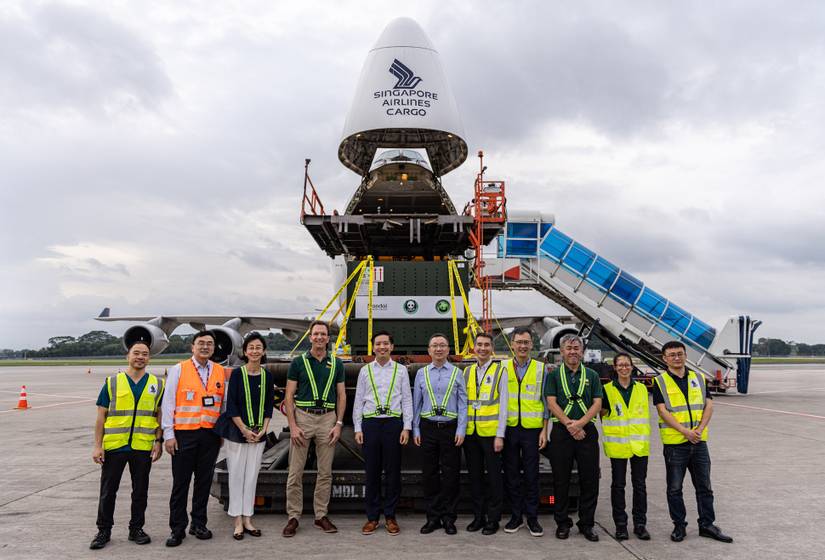 Panda Express: Singapore Airlines Boeing 747 Flies 2-Year-Old Bear To China