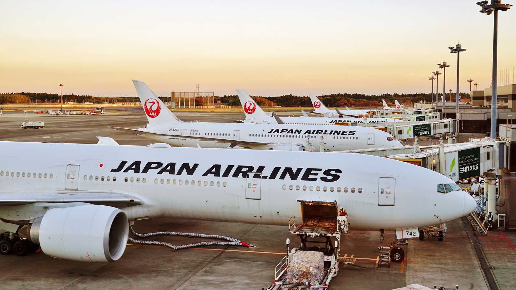 Japan Airlines aircraft at the gates at Tokyo Narita International Airport NRT