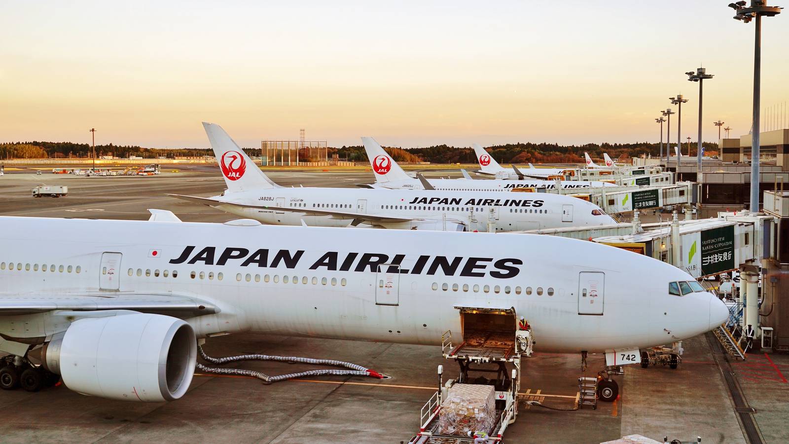 Japan Airlines' 1st Female President Started Off As Cabin Crew