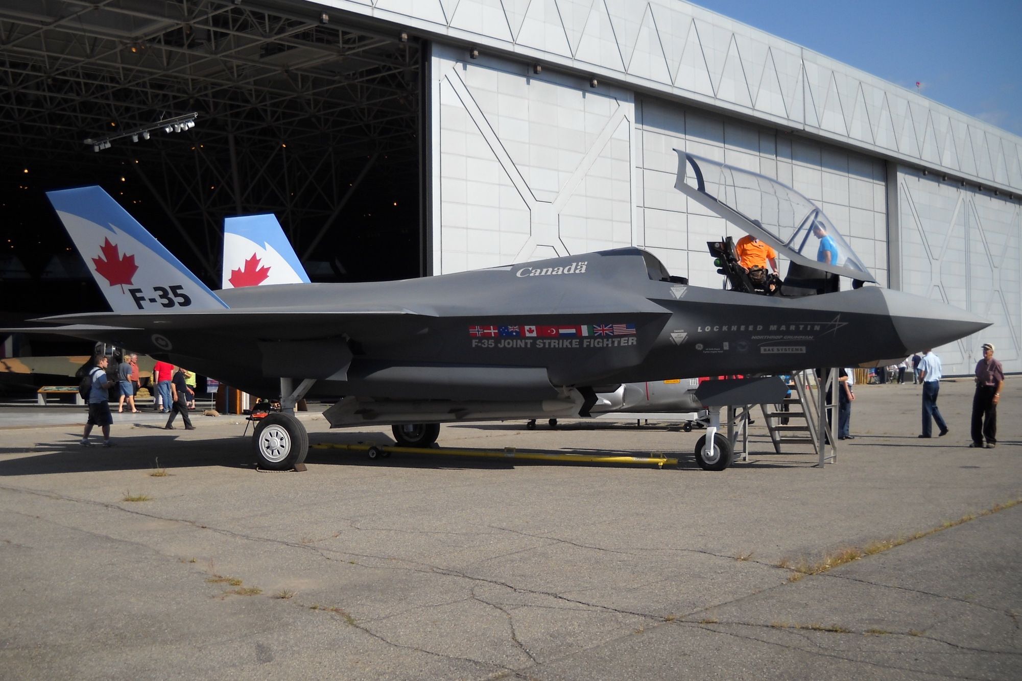 Which Fighter Jets Are In The Royal Canadian Air Force's Fleet?
