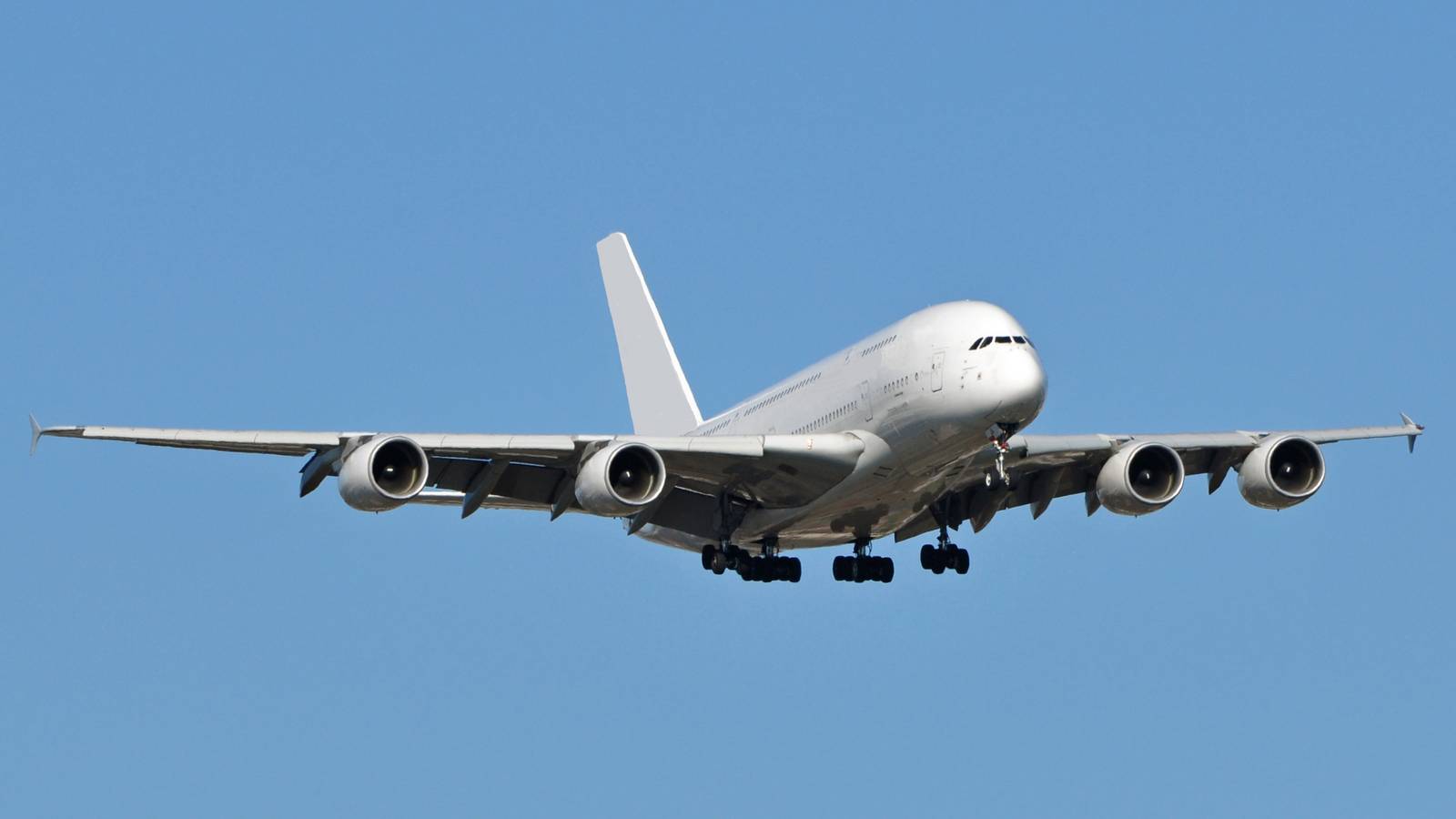 Airbus A380 Startup Global Airlines Appoints OnlyFans Millionaire To Board