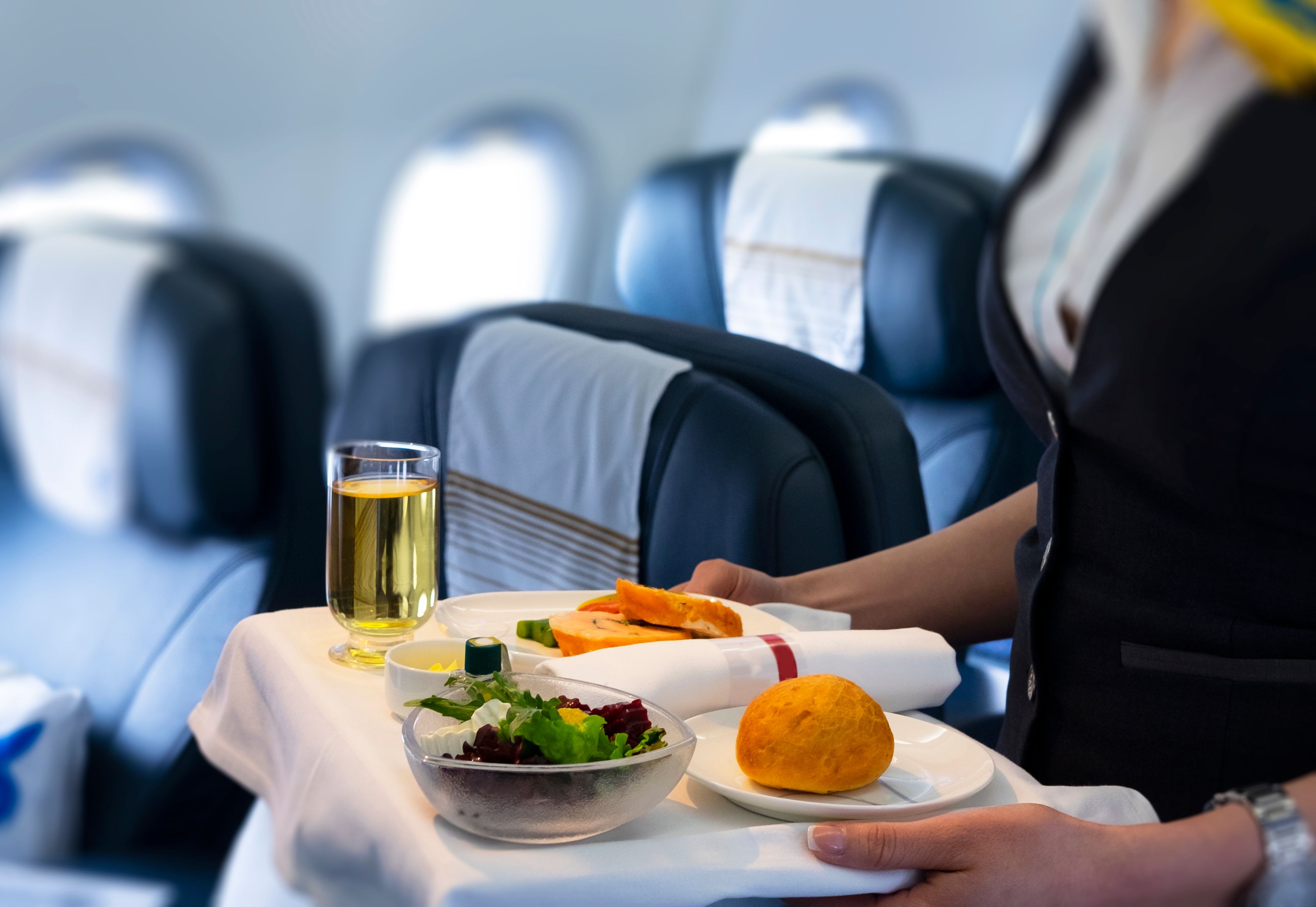 Airline Special Meals & Their Codes: Everything You Need To Know