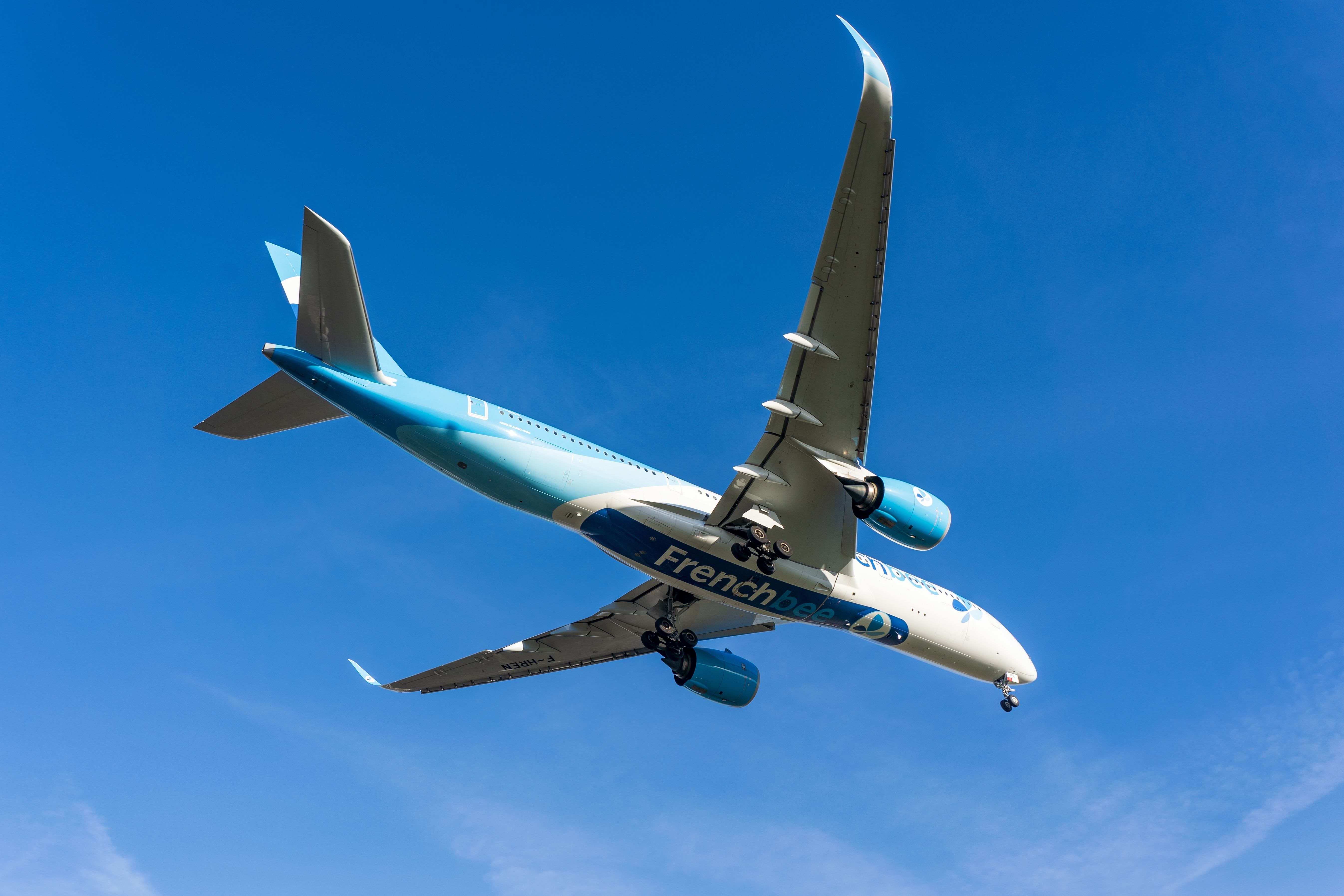 Future Flying: In Conversation With Christine Ourmières-Widener, CEO of French bee