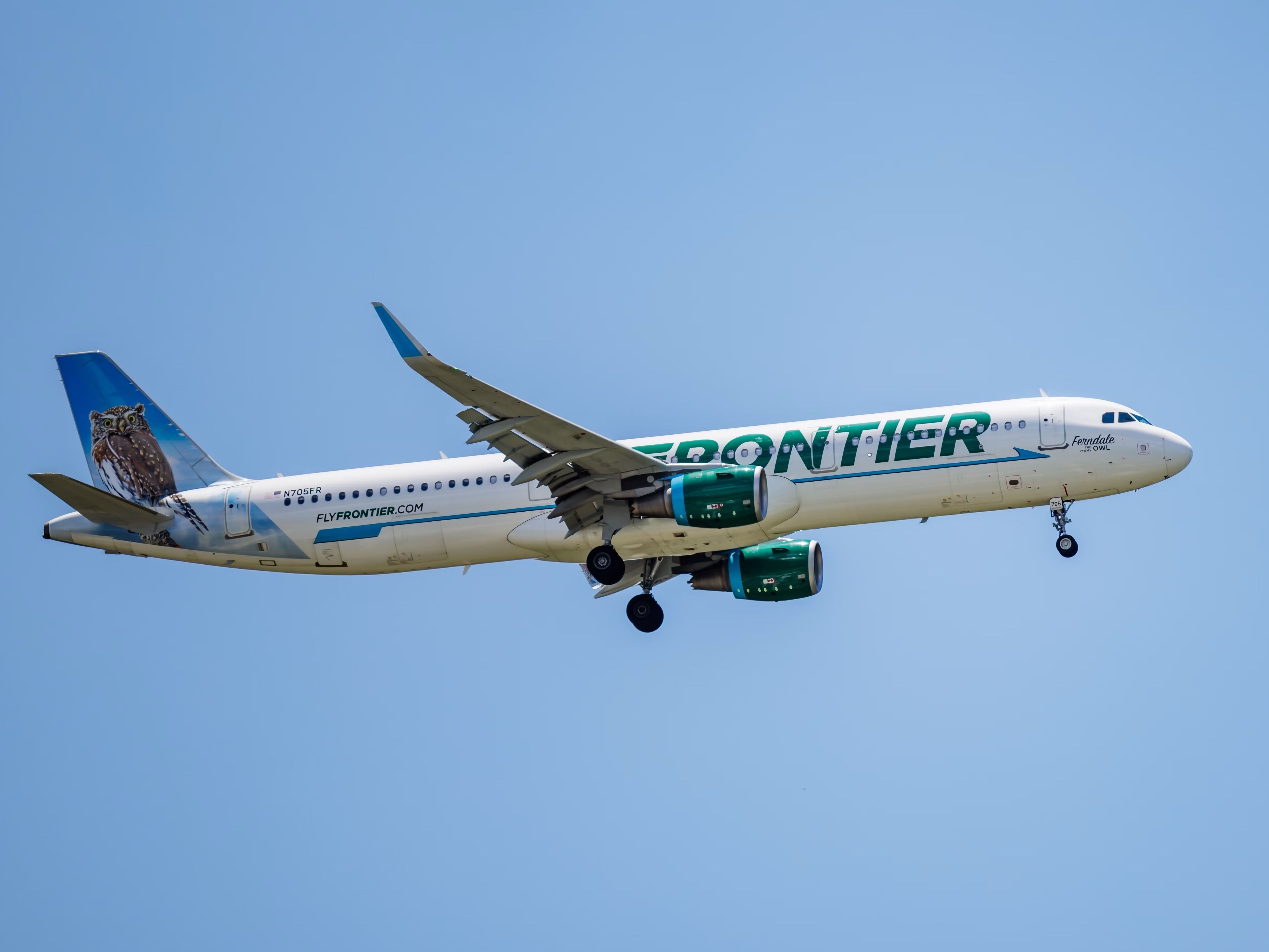 Fly frontier pet clearance policy