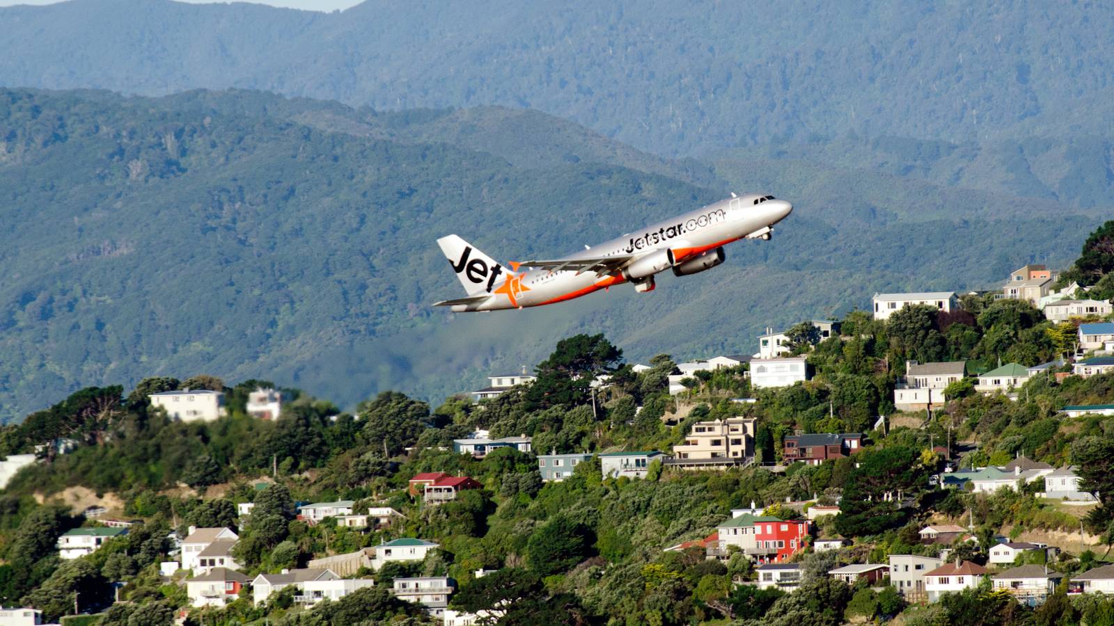 Analyzing International Operations To New Zealand's Capital, Wellington
