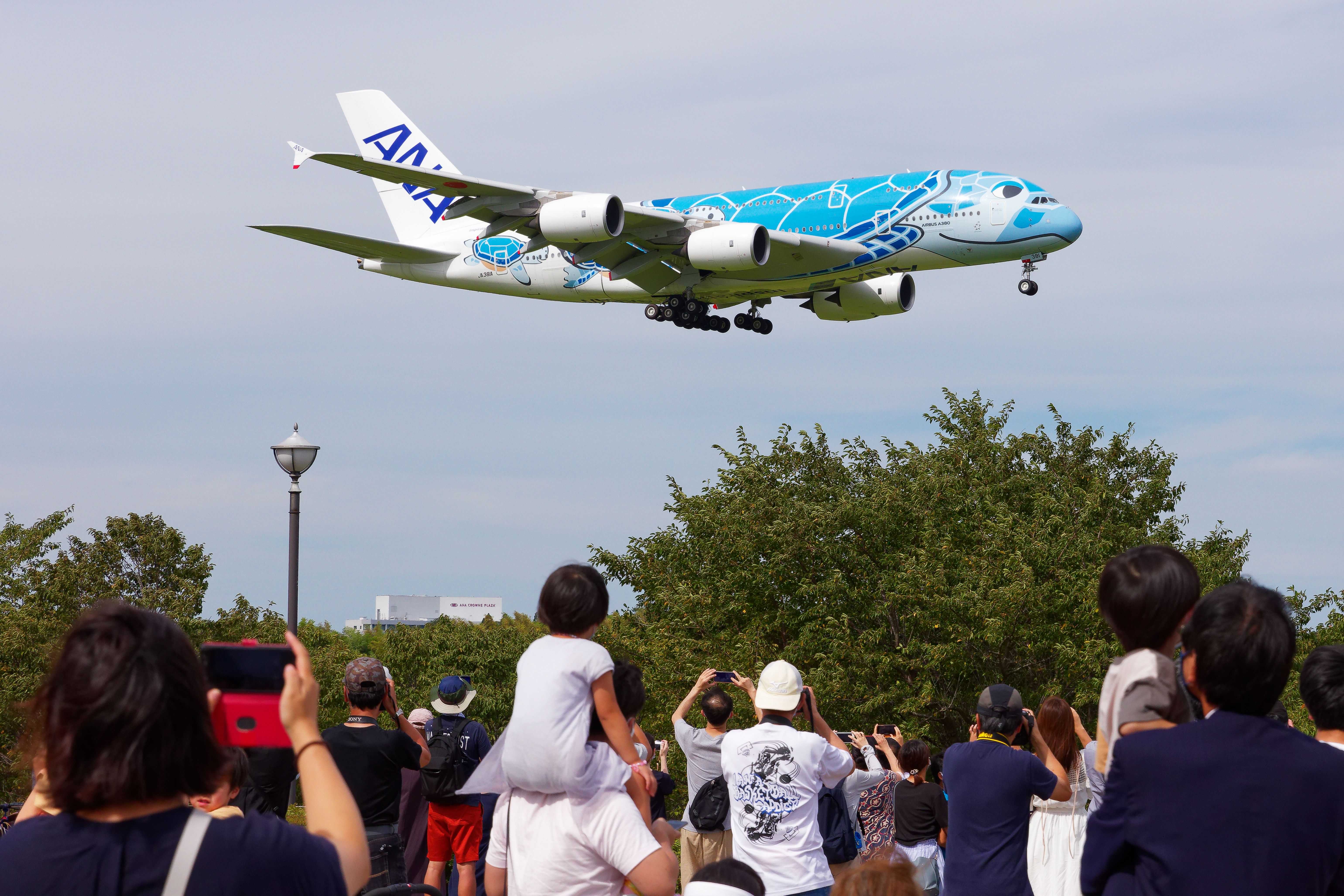 5 Colorful Airline Liveries That Turn Heads Wherever They Go