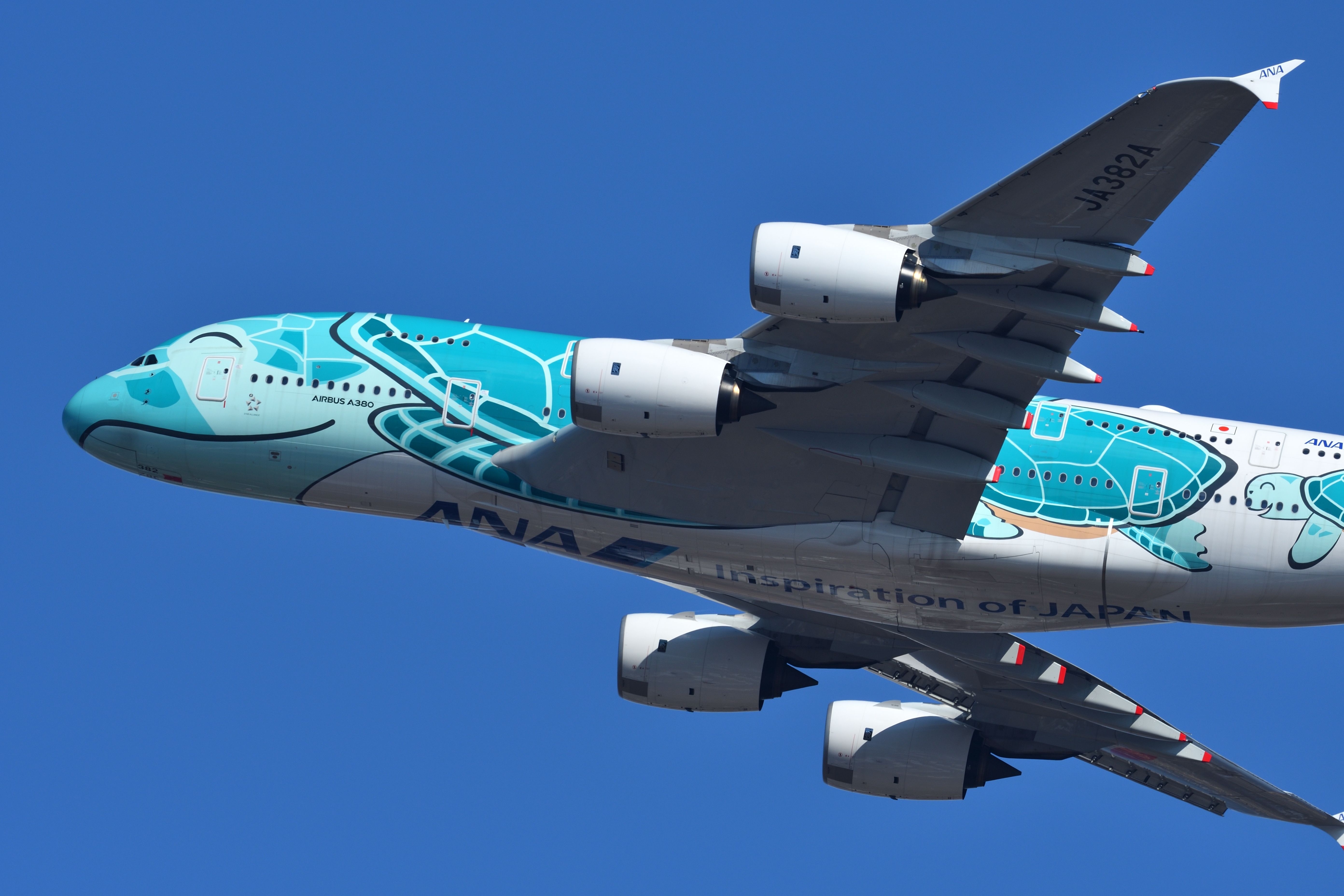 5 Colorful Airline Liveries That Turn Heads Wherever They Go