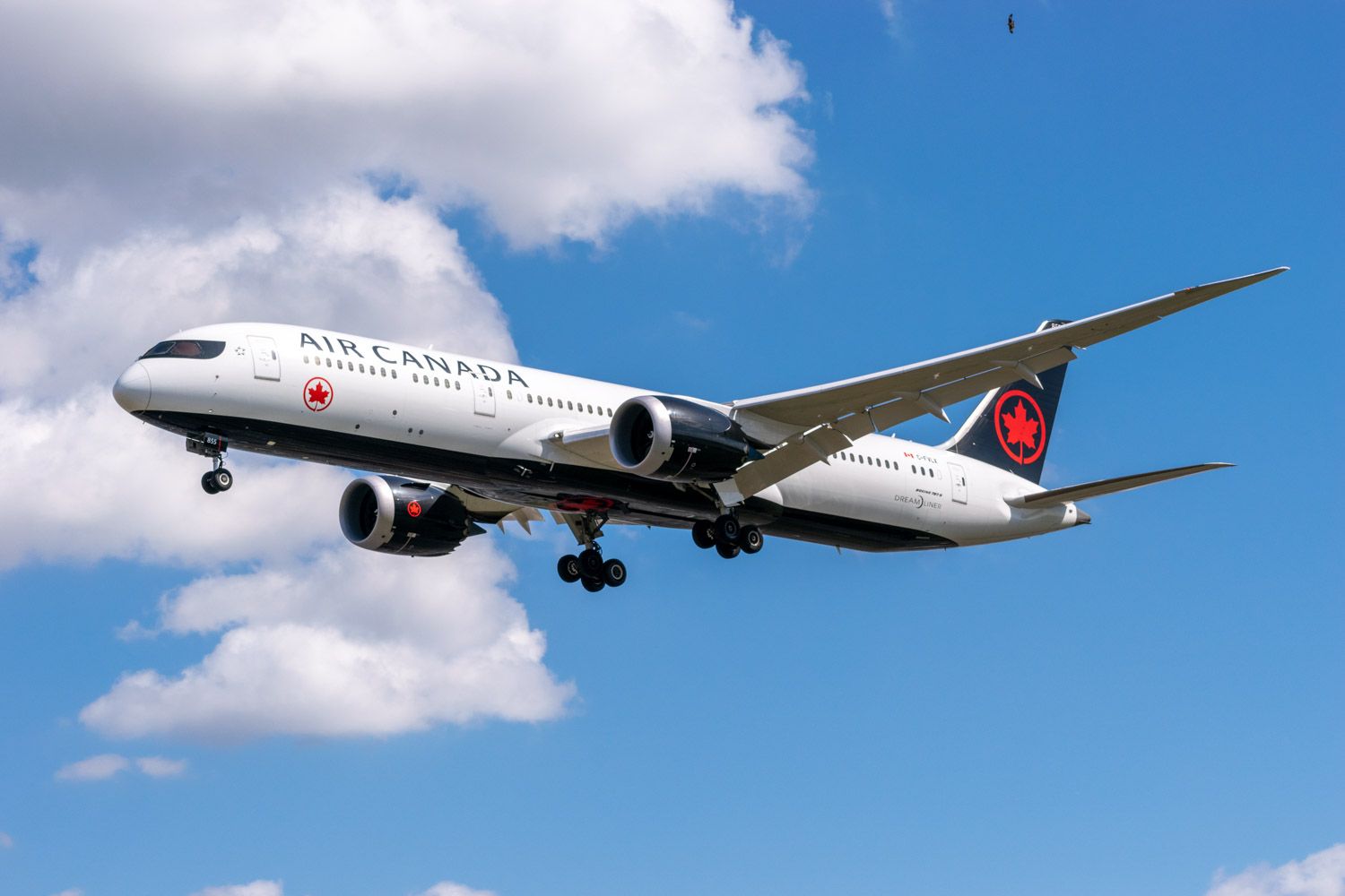 Opinion: Air Canada's Chatbot Case Didn't Need A Trial