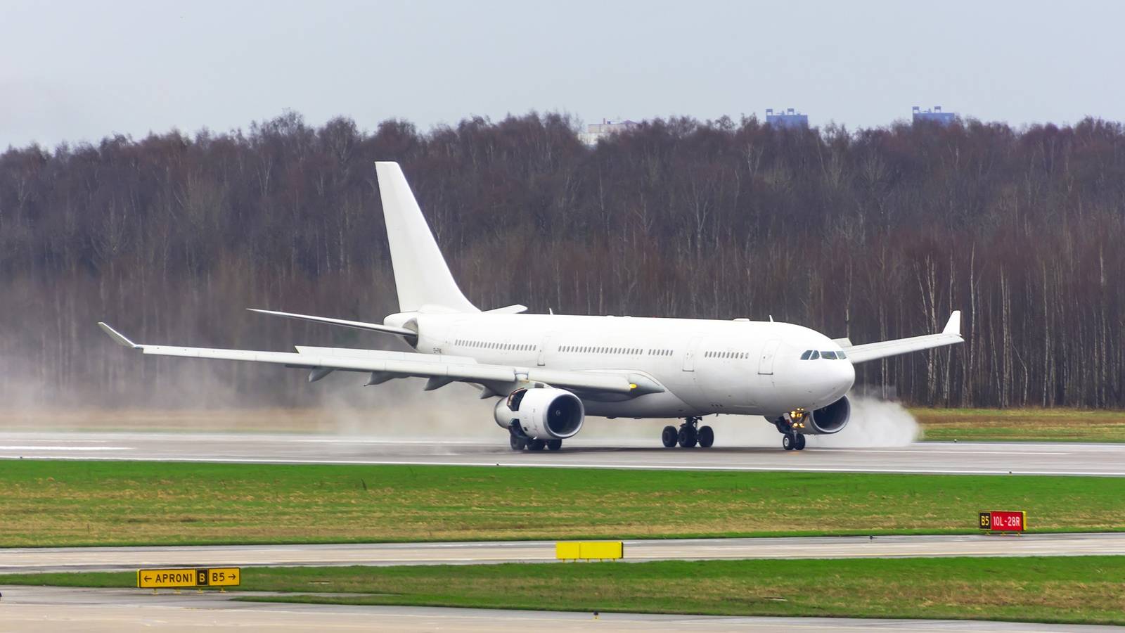 Vegan-Friendly Airlines? Unhappy Flyer Shares Sad Sandwich On 12 Hour Flight