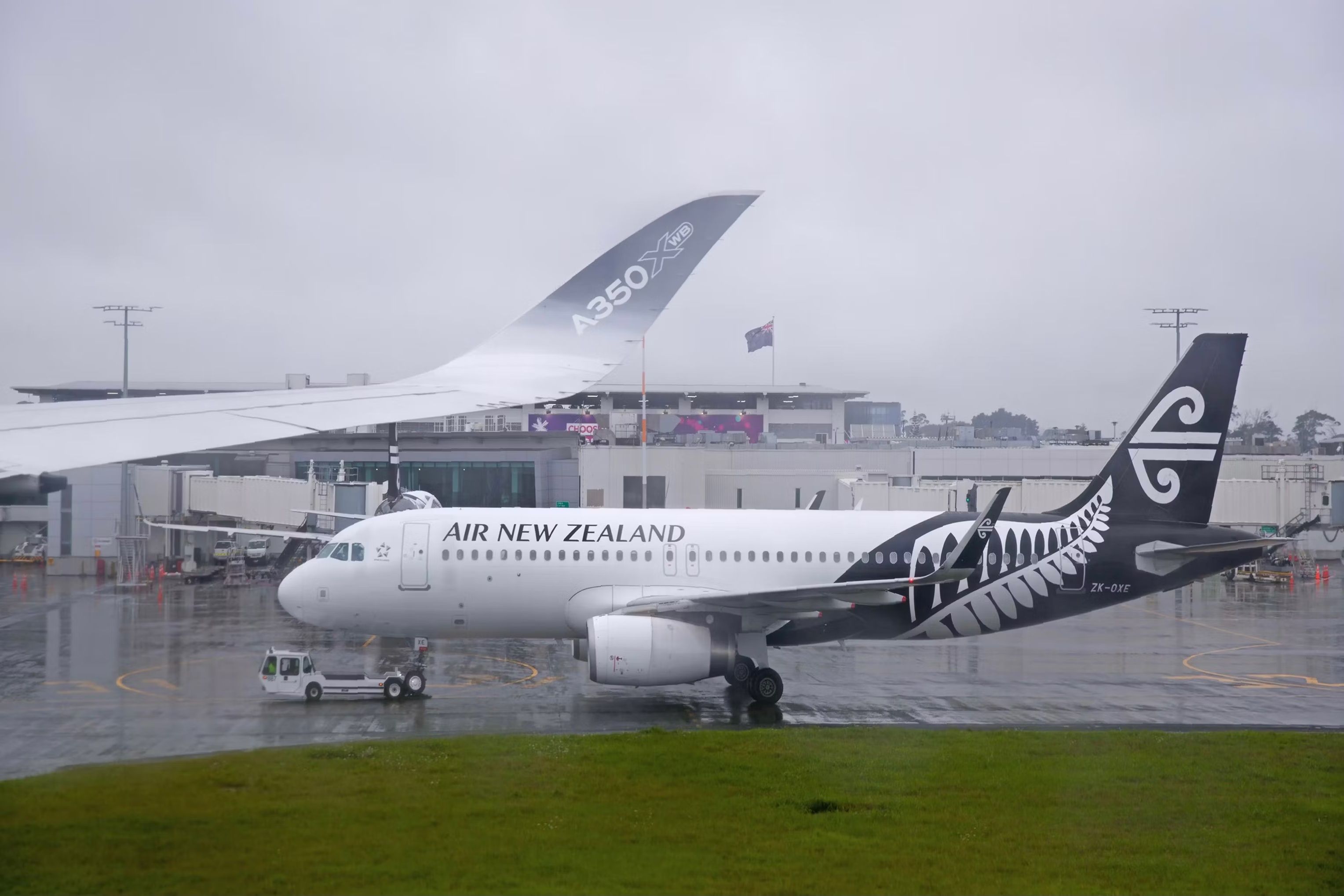 Air New Zealand Wants To Pioneer Green Hydrogen-Powered Aircraft