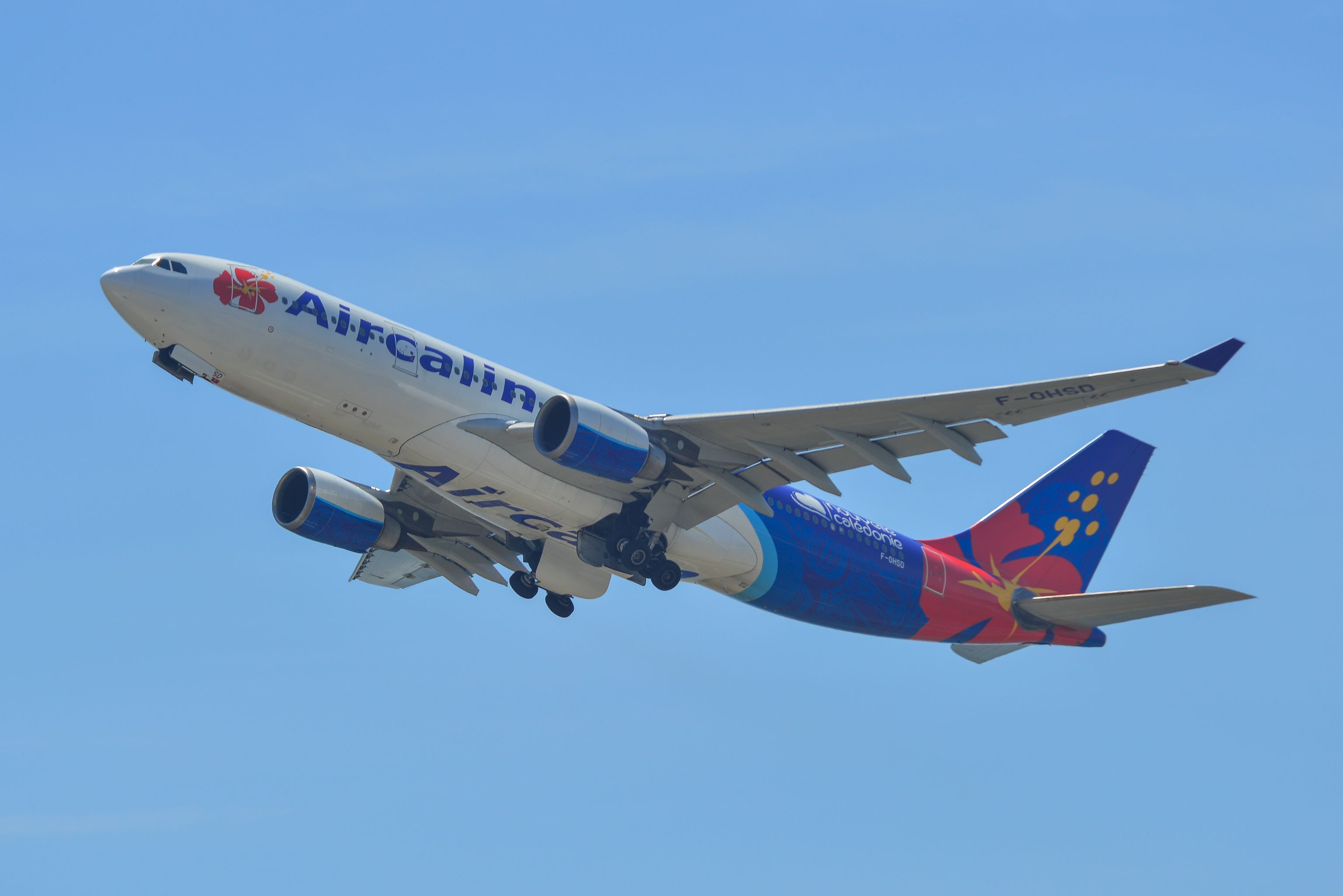 5 Frequent Flyer Programs In Oceania You Should Know
