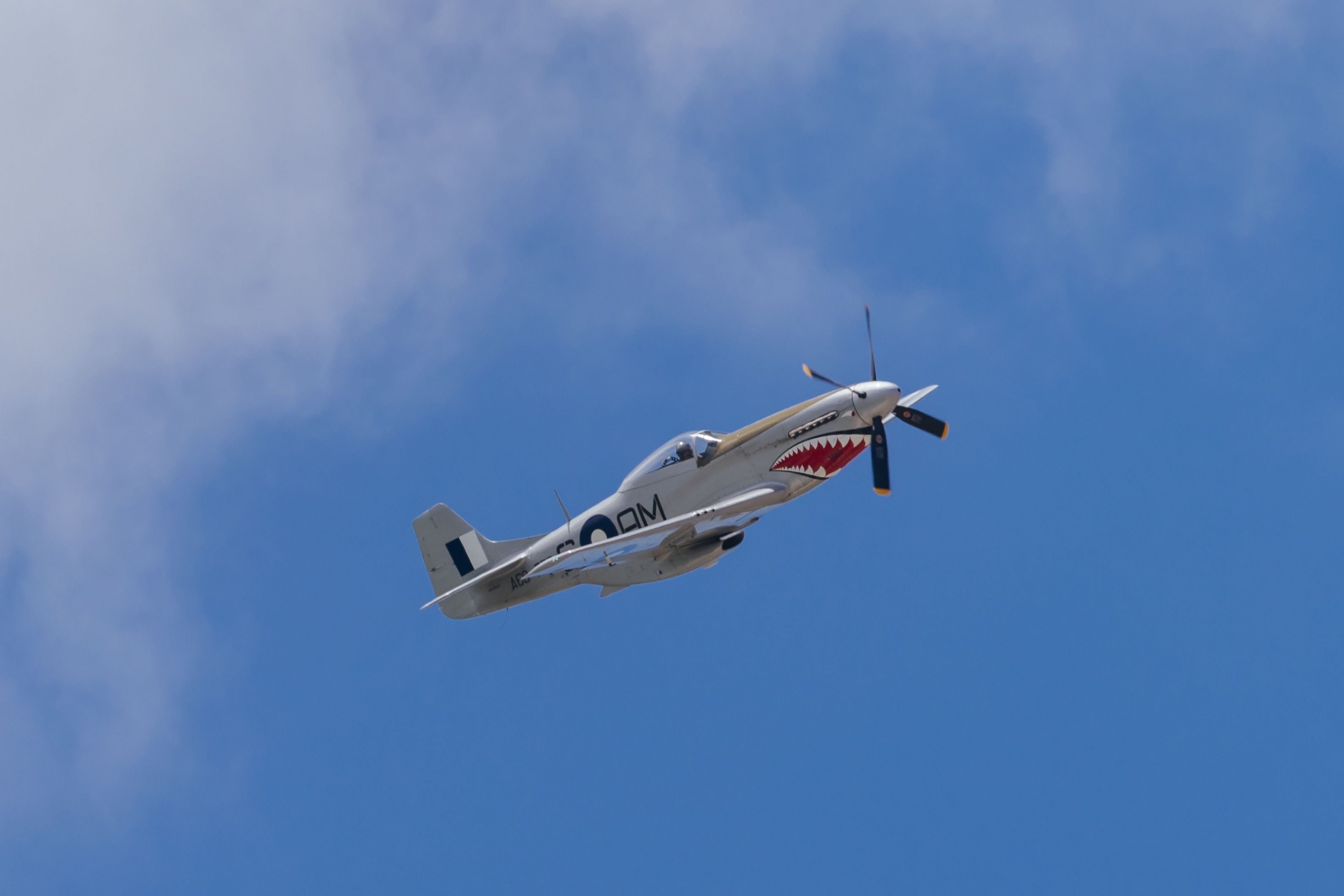 What Were The Main Variants Of The North American P-51 Mustang Aircraft?