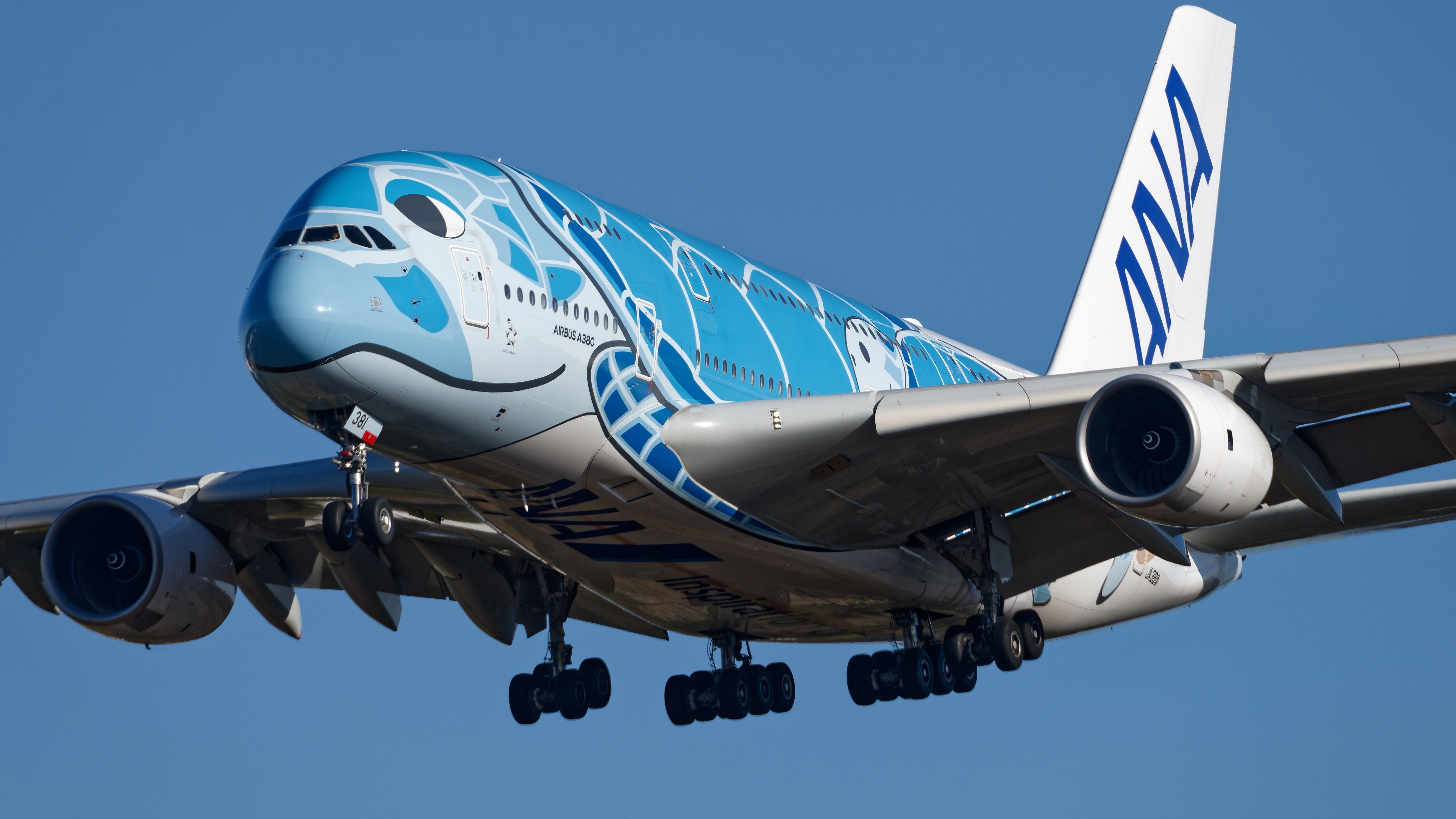 What's Inside The ANA Flying Honu Airbus A380s?