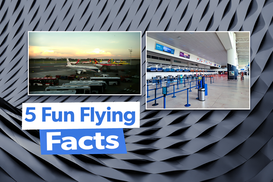 Unexpected Quirks: 5 Fun Facts You Might Not Know About Flying