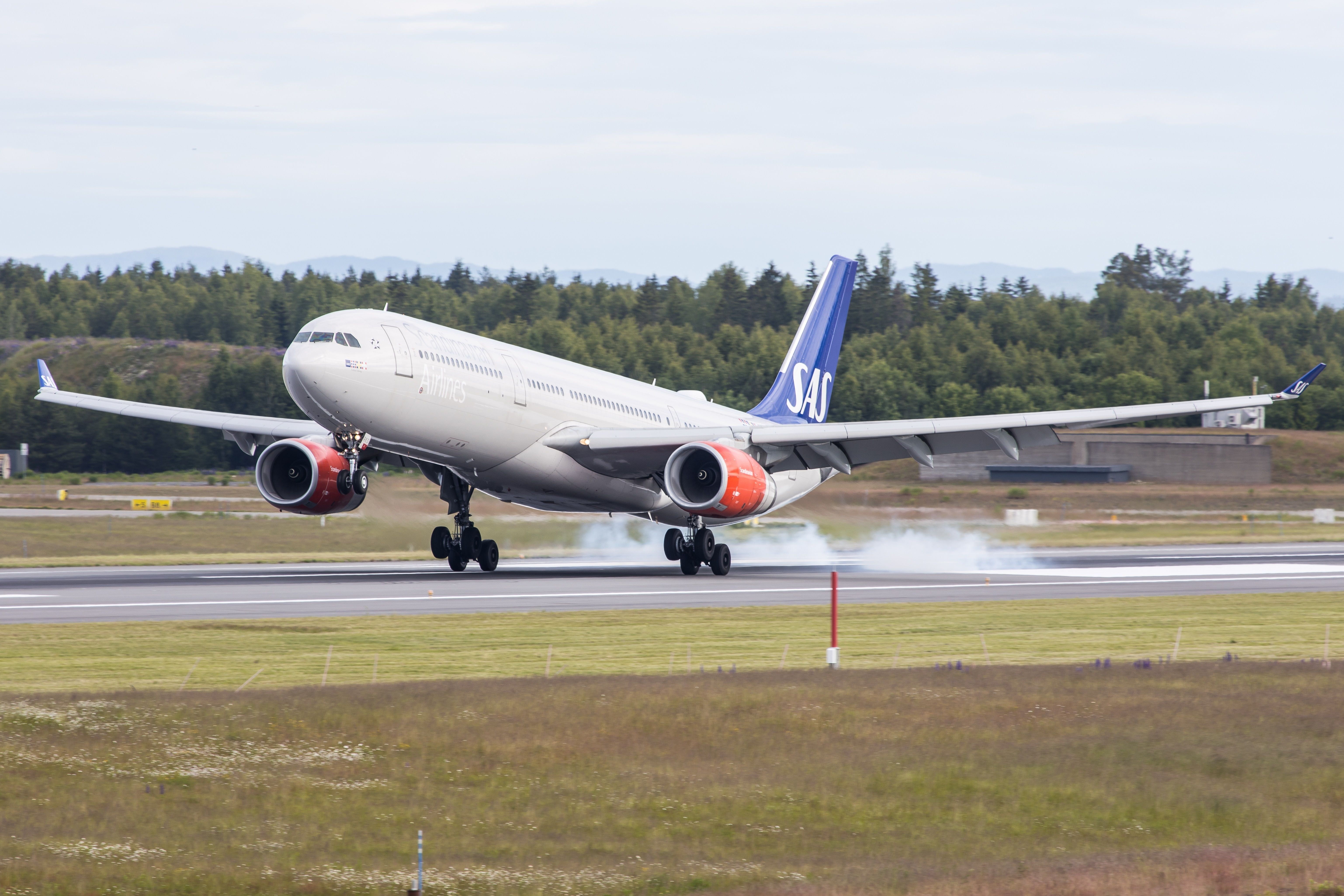 SAS A330-300 shutterstock_2193477459