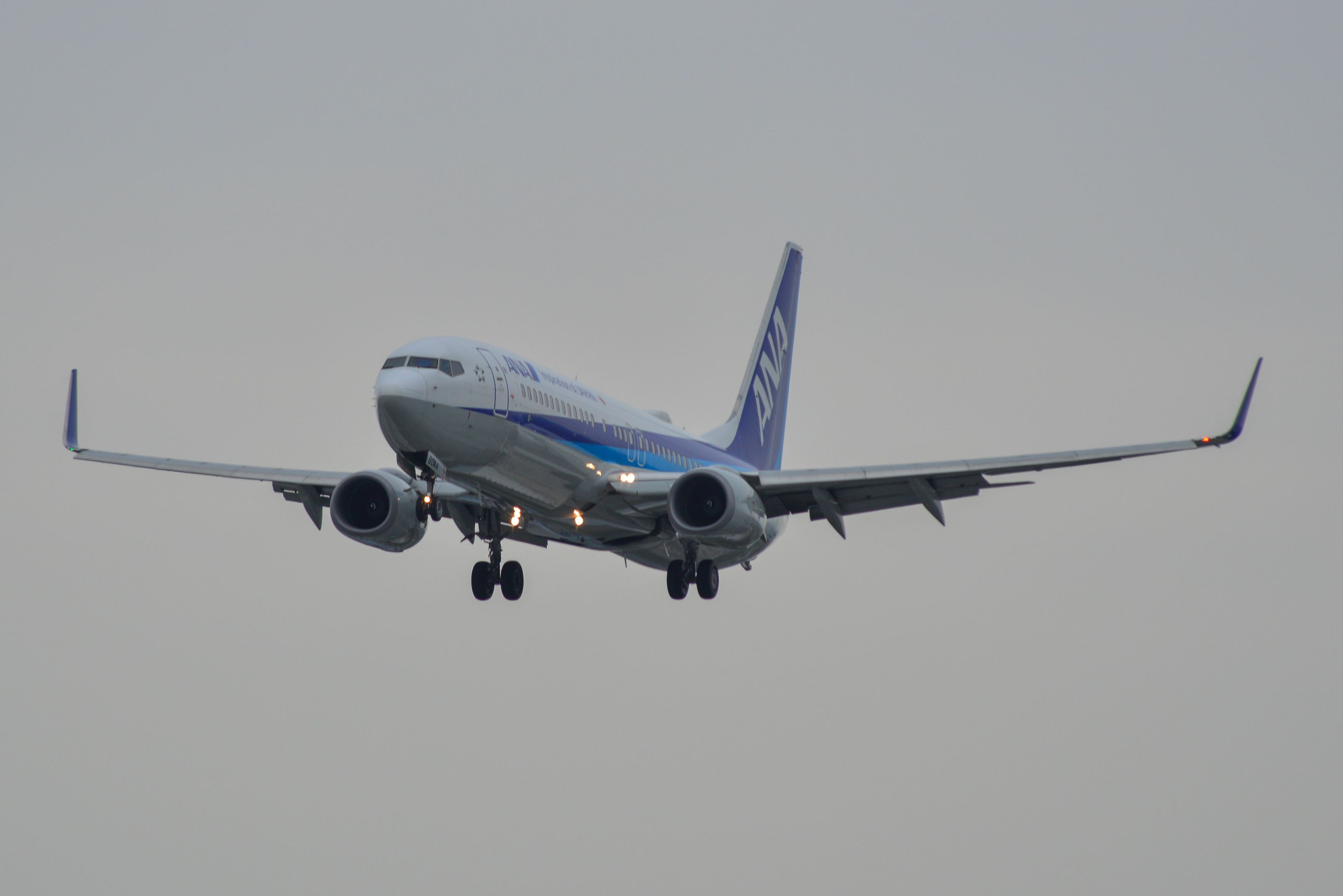Regulator Investigating "Serious" Incident Involving ANA Wings Boeing 737-800 Ground Warning System