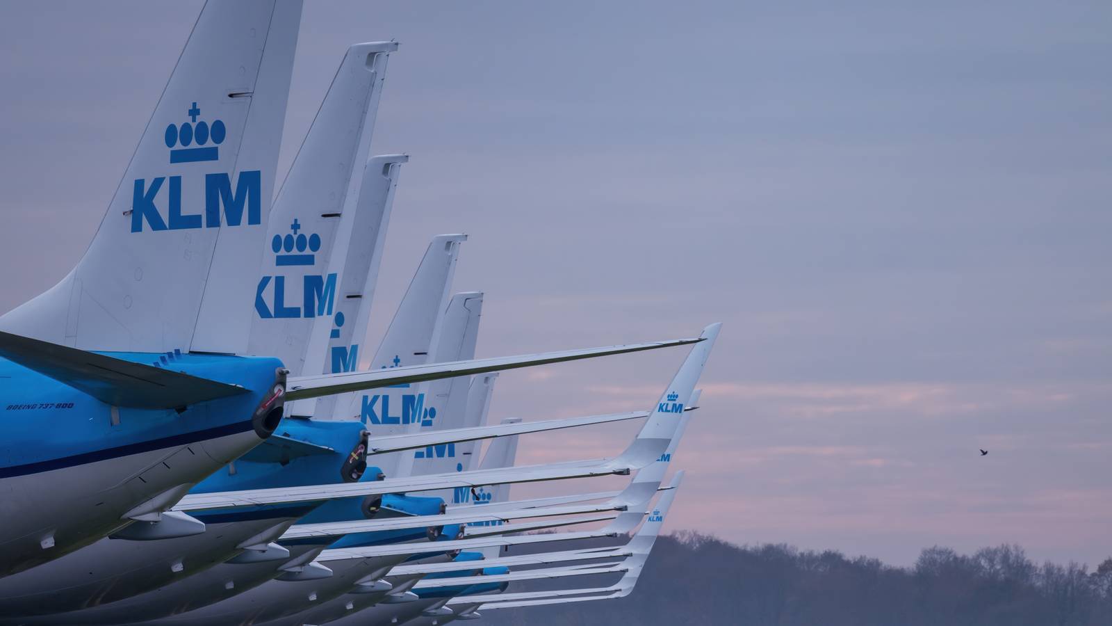 KLM Updates Crew Uniform Policy And Reveals Flashy New Custom Sneakers