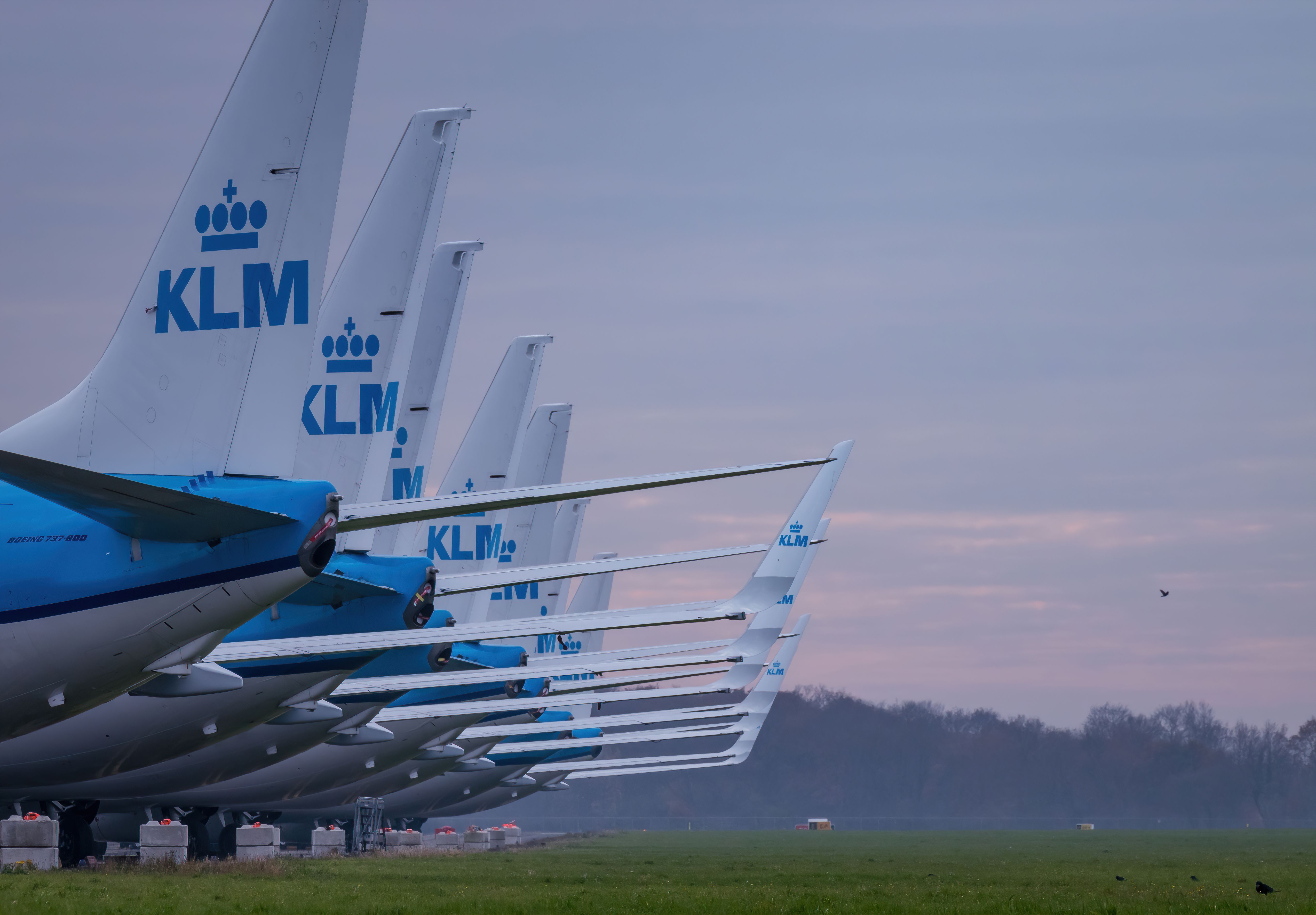KLM Updates Crew Uniform Policy And Reveals Flashy New Custom Sneakers