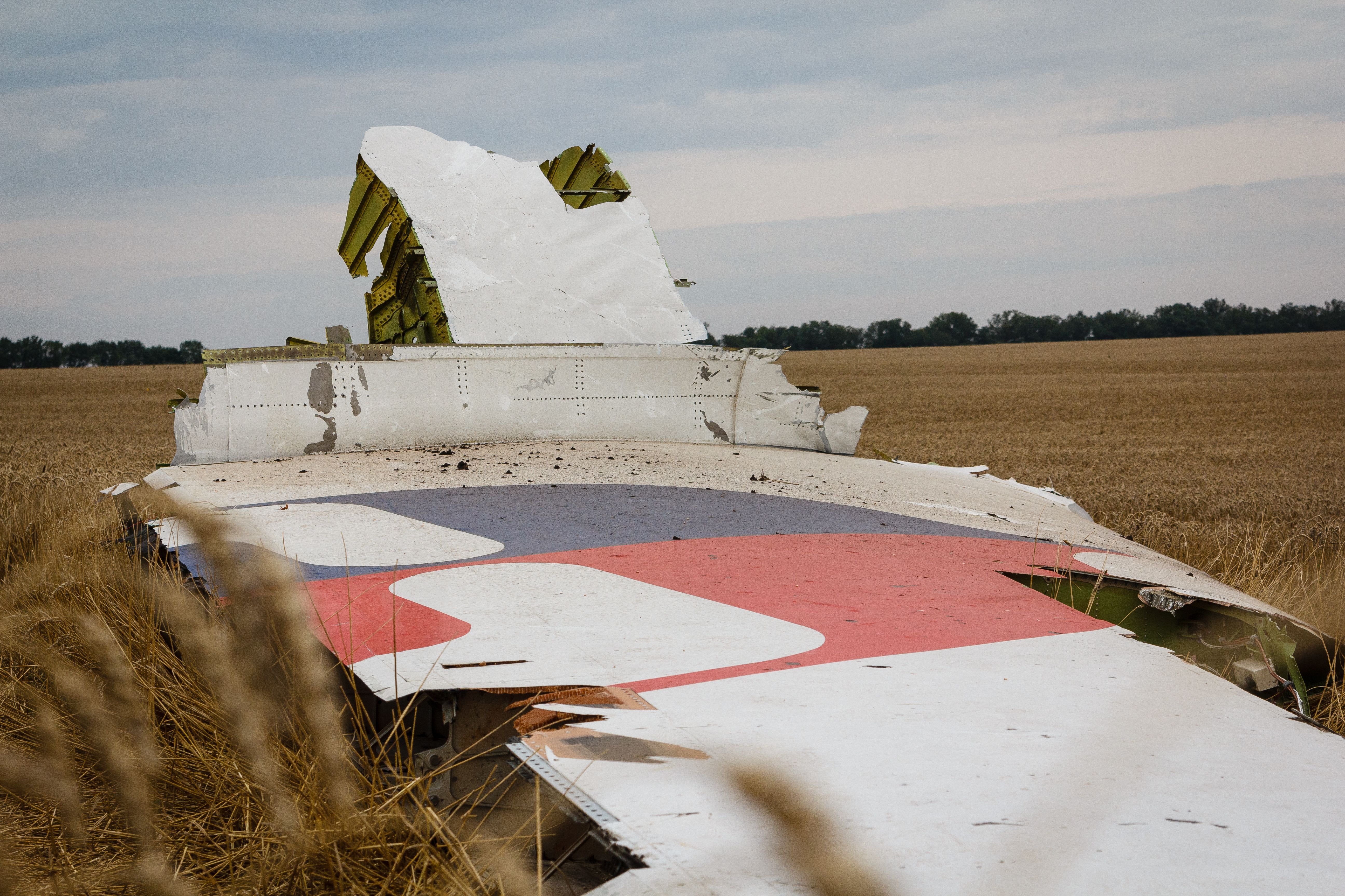 The MH17 Tragedy: Guide To The Aftermath Of Buk Missile Strike On