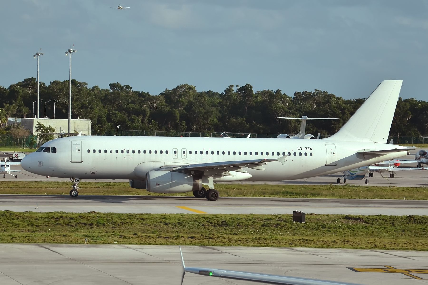 White Tail Aircraft: A Brief Guide