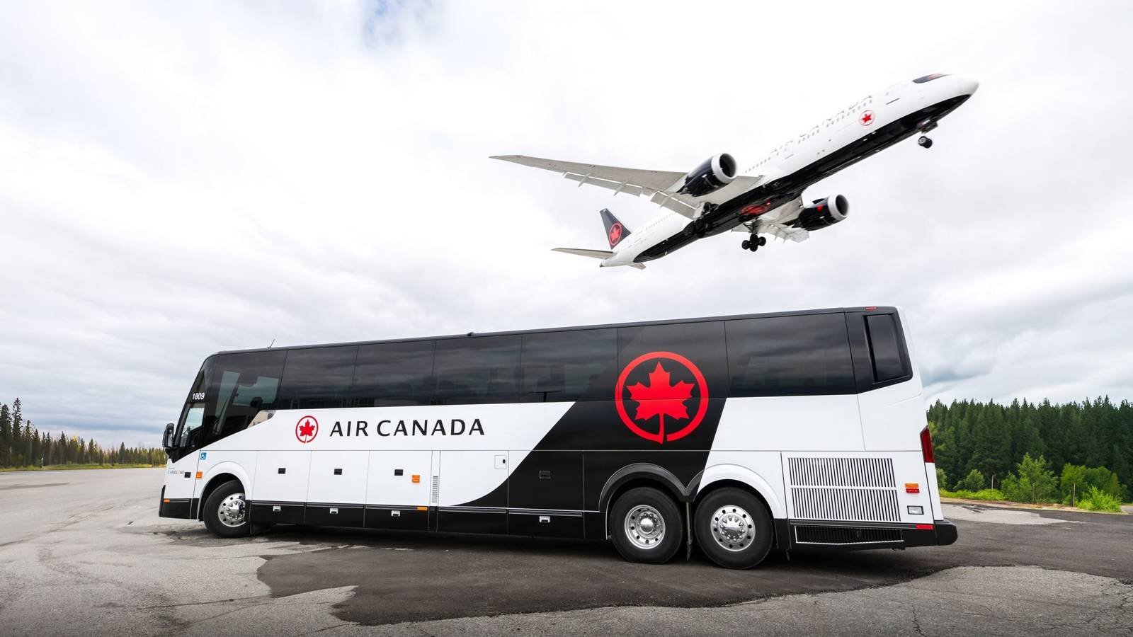 Which North American Airlines Offer Bus Services?