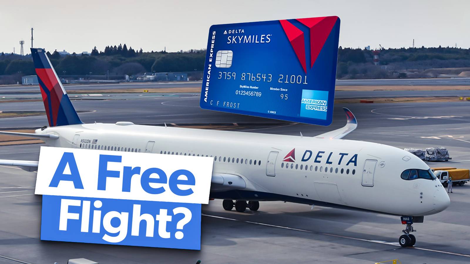 How Many Delta SkyMiles Do You Need For A Free Flight?