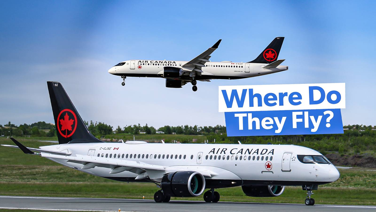 Where Is Air Canada Flying Its Airbus A220s This Summer?