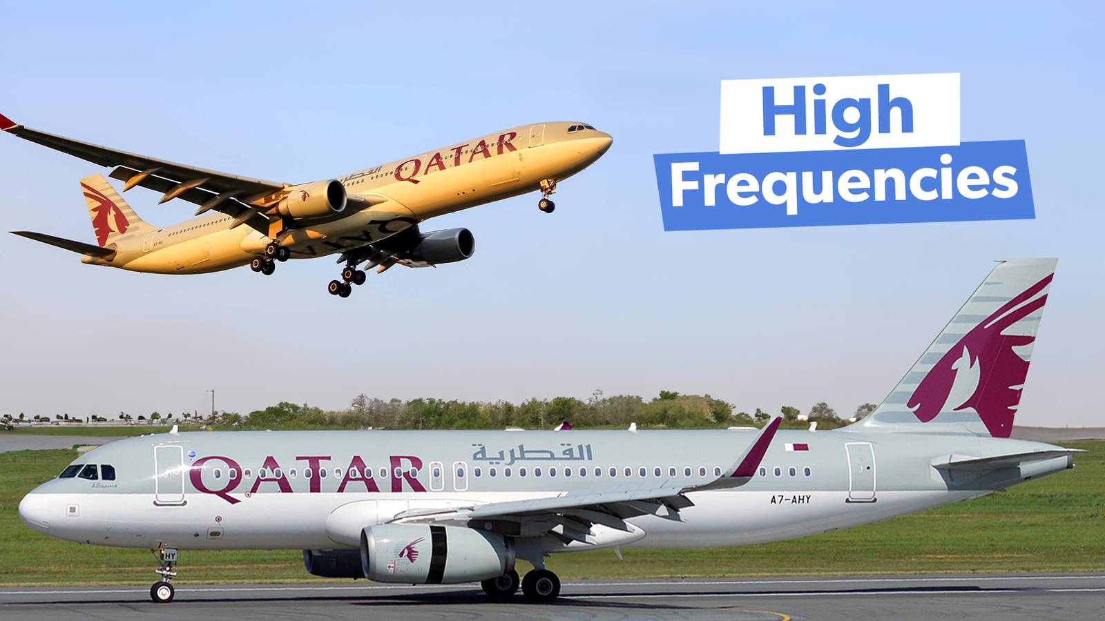 (FEED) Qatar Airways' Most Frequently-Served Routes: A Closer Look