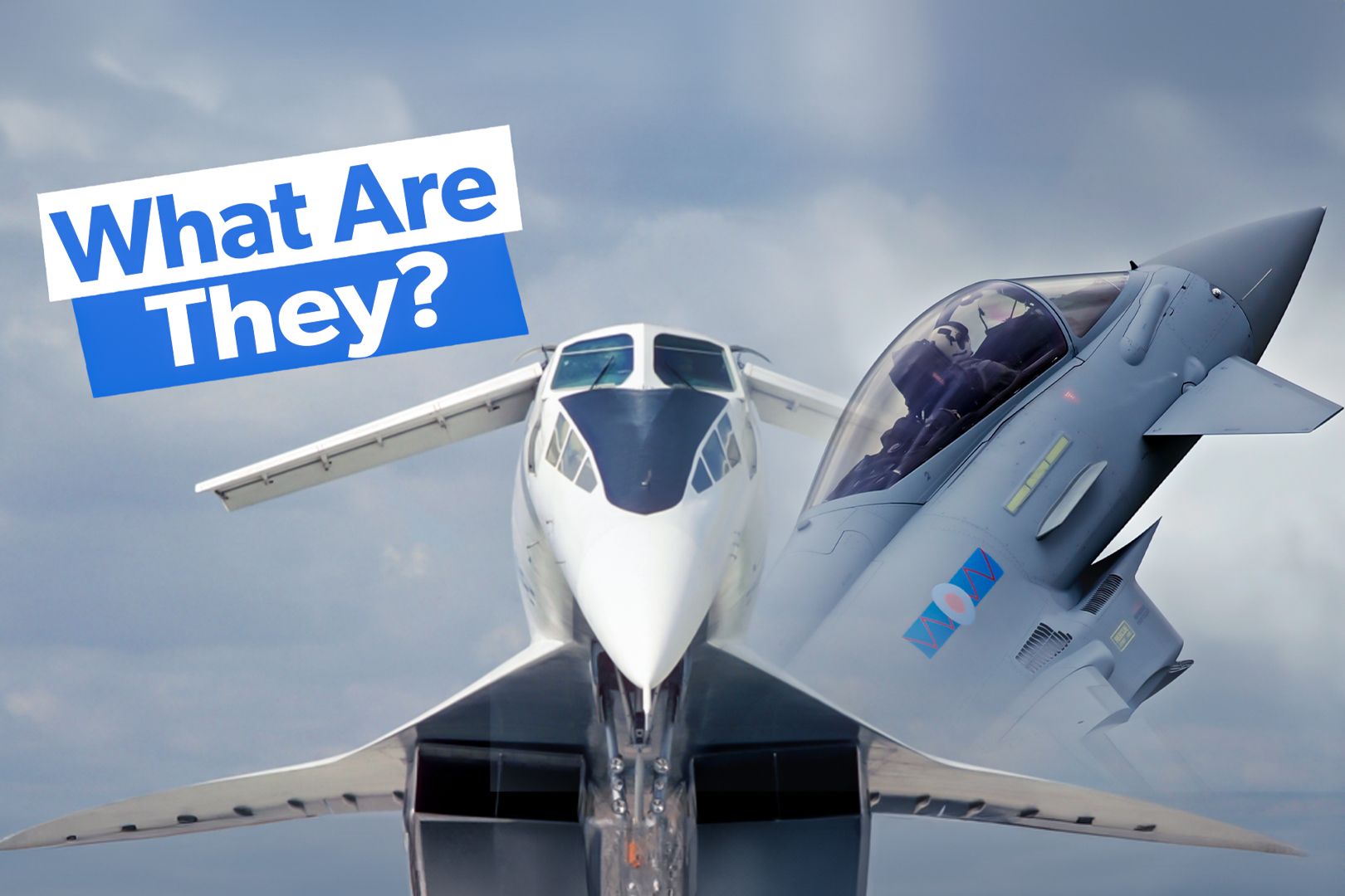 What Are Canards In Aviation?