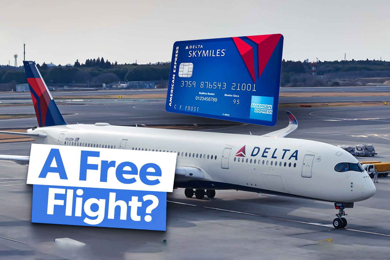 How Many Delta SkyMiles Do You Need For A Free Flight?