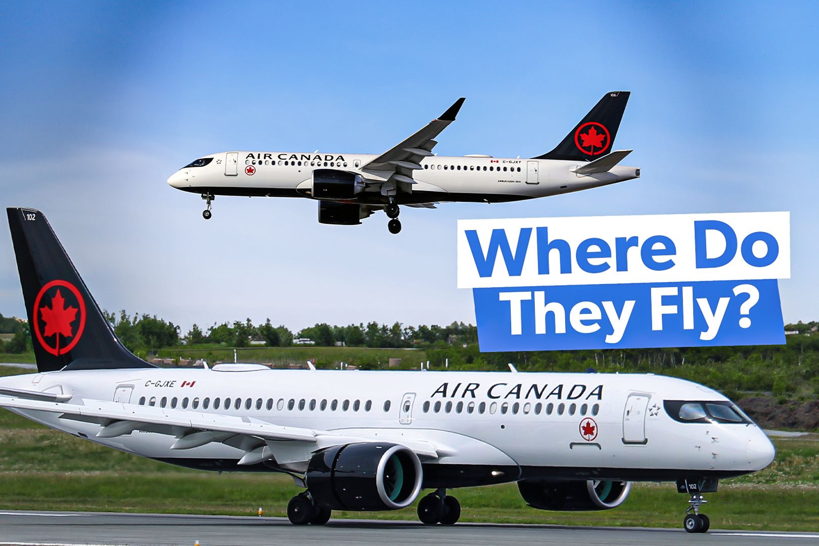 Where Is Air Canada Flying Its Airbus A220s This Summer?