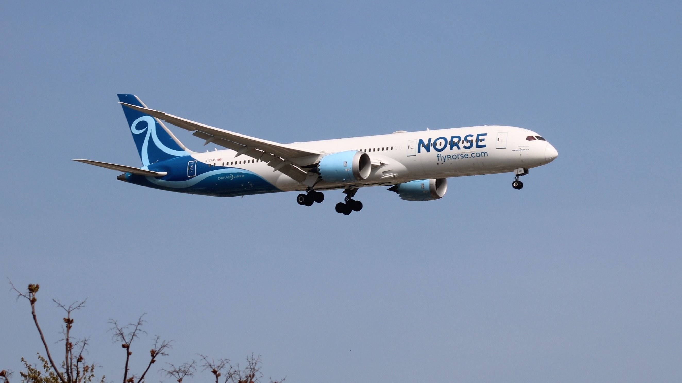 Norse Atlantic Posts 97% Revenue Growth To $78.2 Million In Q1: Is