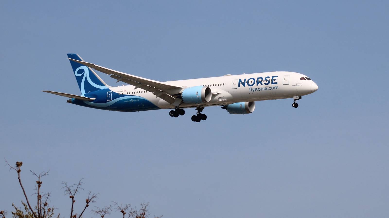 Norse Atlantic Posts 97% Revenue Growth To $78.2 Million In Q1: Is It Enough?