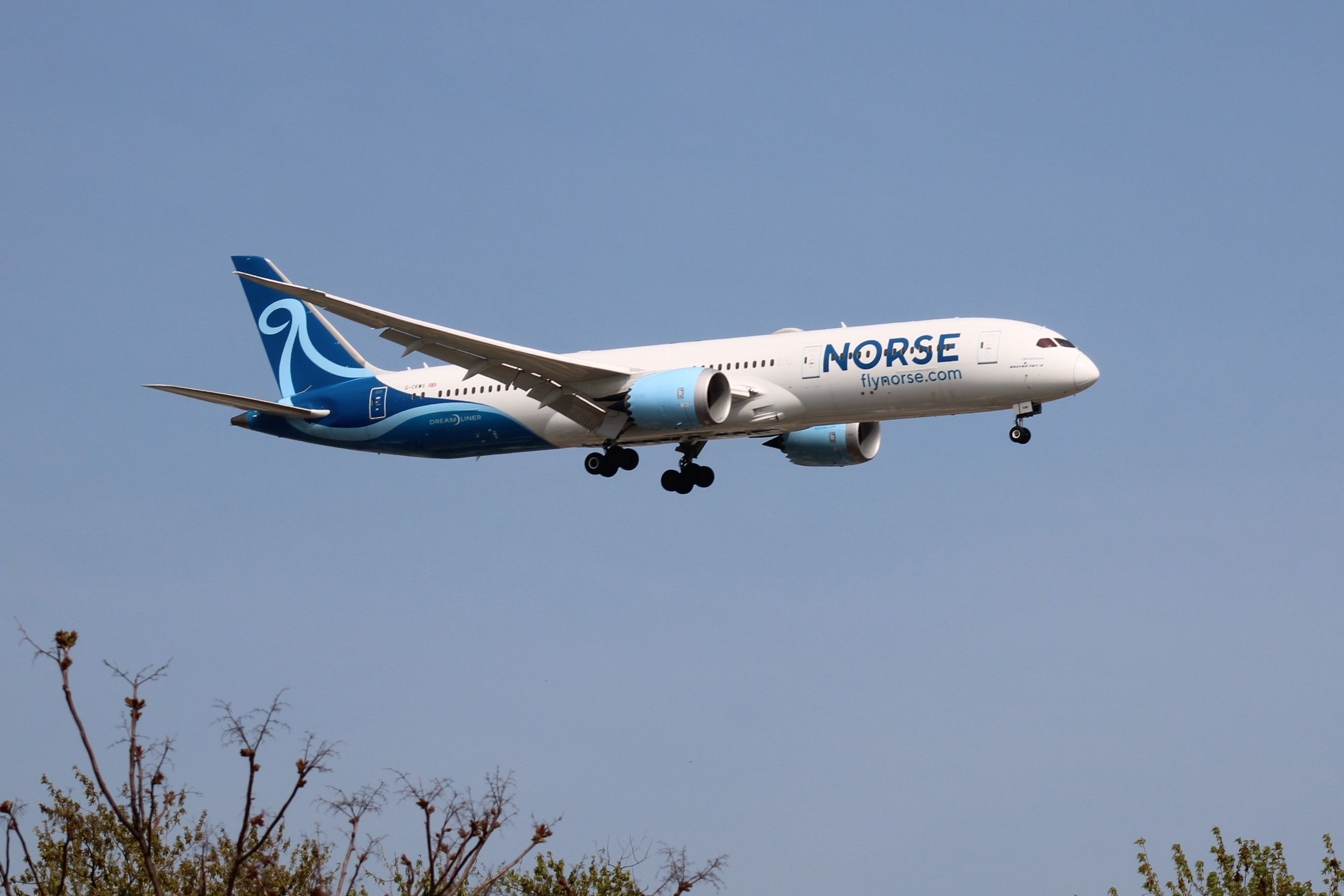 Norse Atlantic Posts 97% Revenue Growth To $78.2 Million In Q1: Is It Enough?