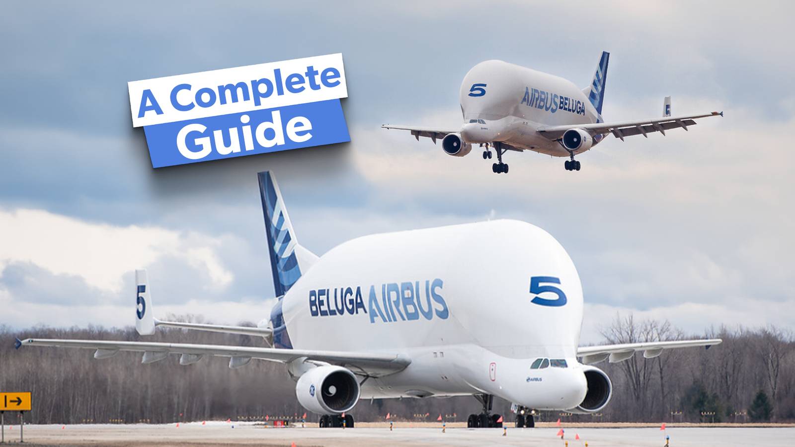 Airbus Beluga Transport: Everything You Need To Know