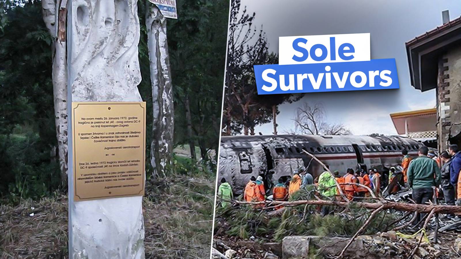 5 Notable Aviation Accidents That Each Only Had One Survivor
