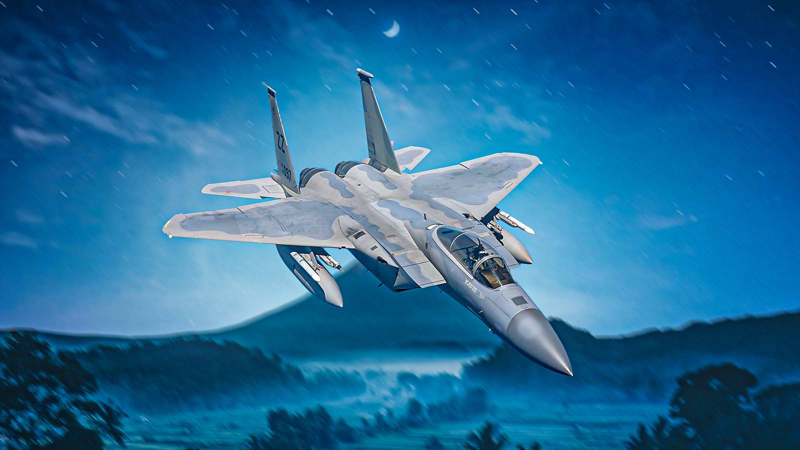 Which F-15s Did The Government Clear The US Air Force To Retire?