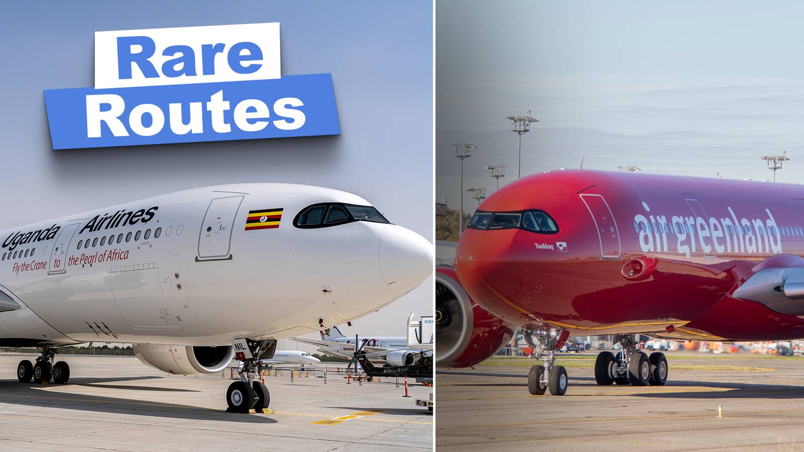 Rare Variant: Which Routes Is The Airbus A330-800 Used On?