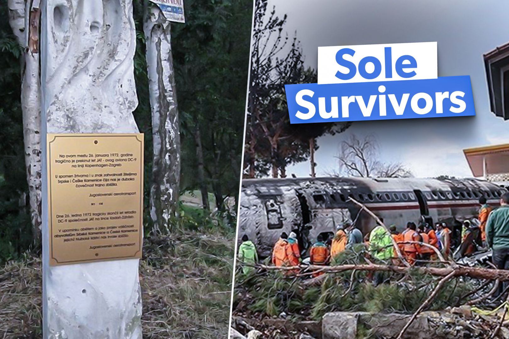 5 Notable Aviation Accidents That Each Only Had One Survivor