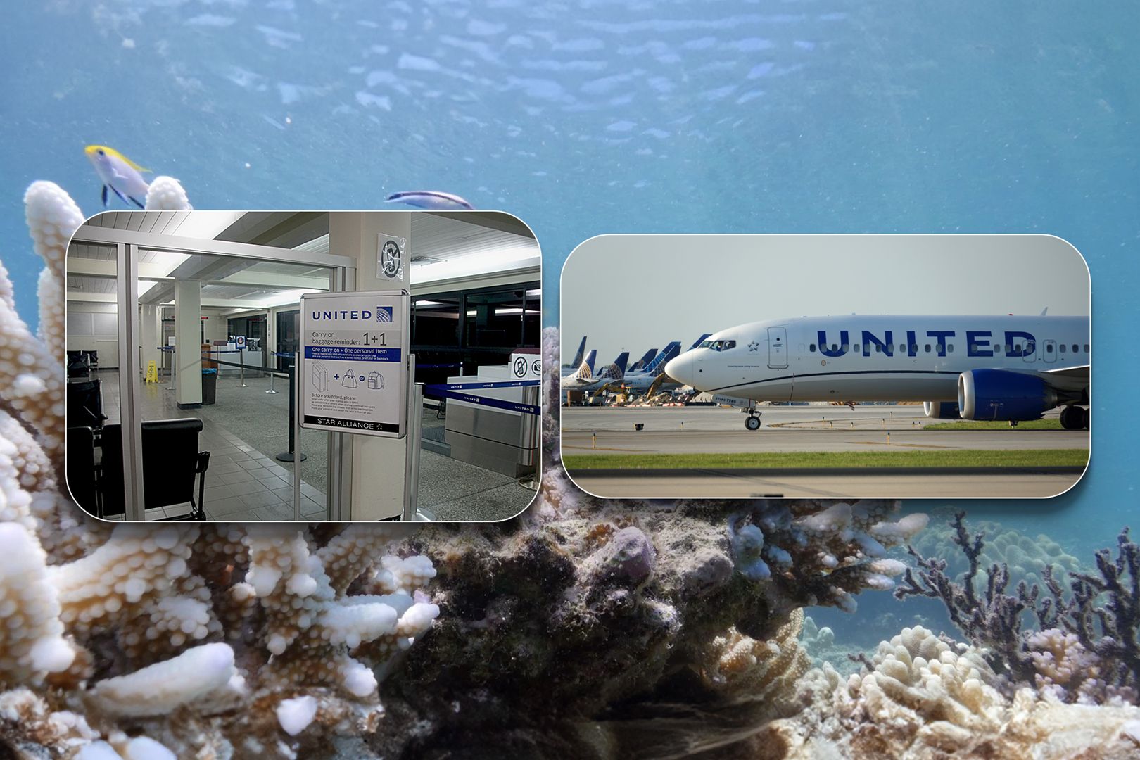 Top 5: United Airlines' Most Frequently-Operated Flights That Neither Take Off Nor Land In The US
