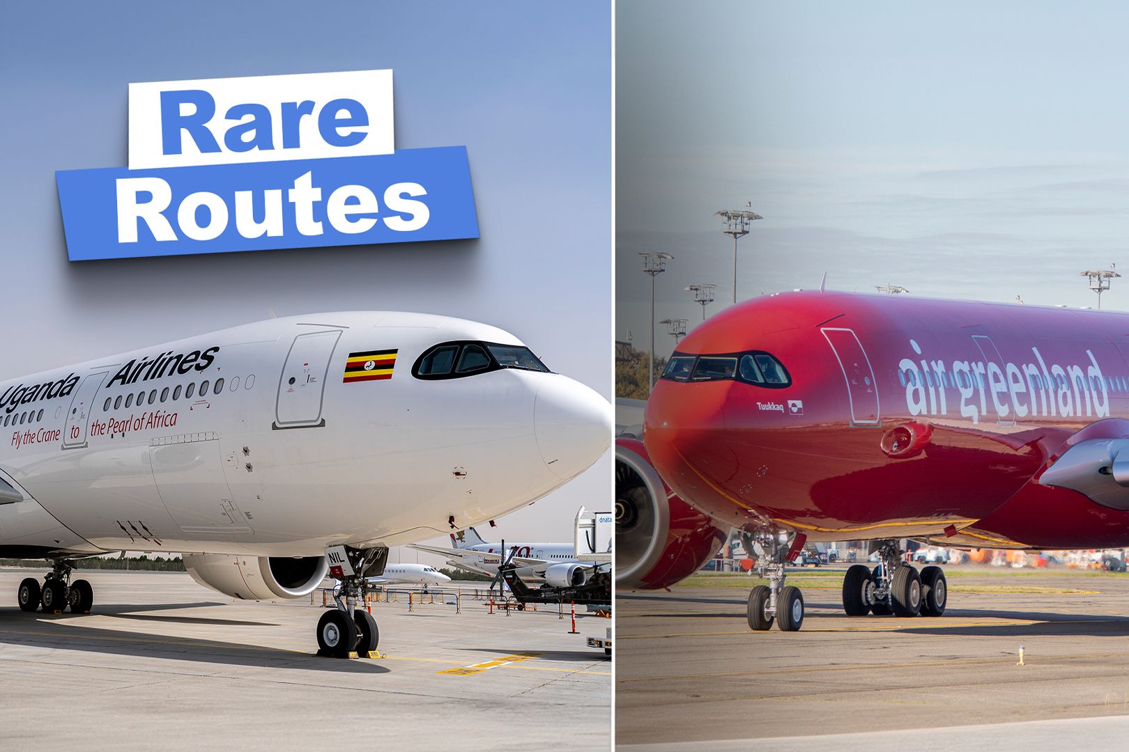 Rare Variant: Which Routes Is The Airbus A330-800 Used On?