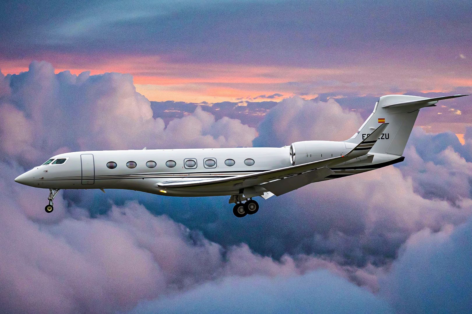 Private Jets of the Stars: A Glimpse into Elon Musk's High-Flying Luxury