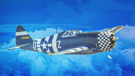 P-47 Thunderbolt Custom Thumbnail