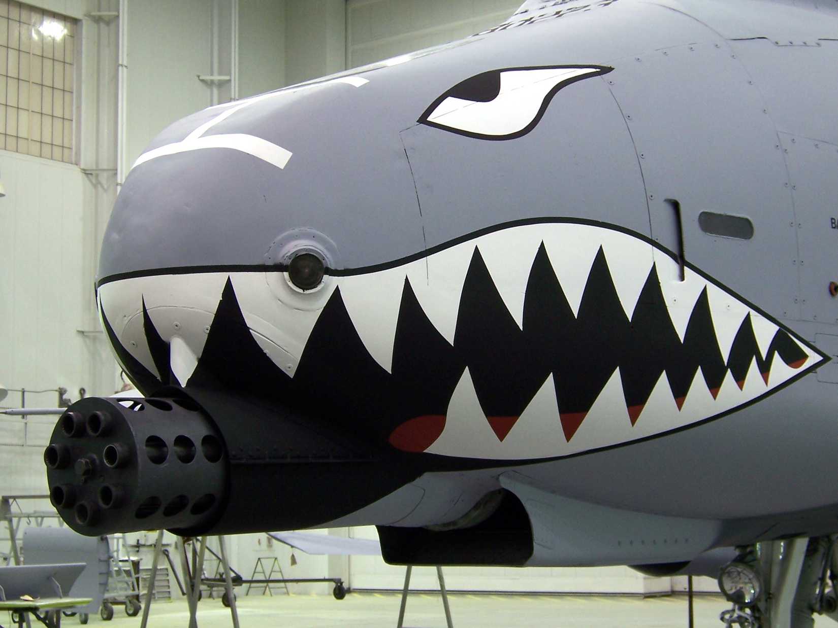 Close up photo of the A-10's GAU-8 cannon