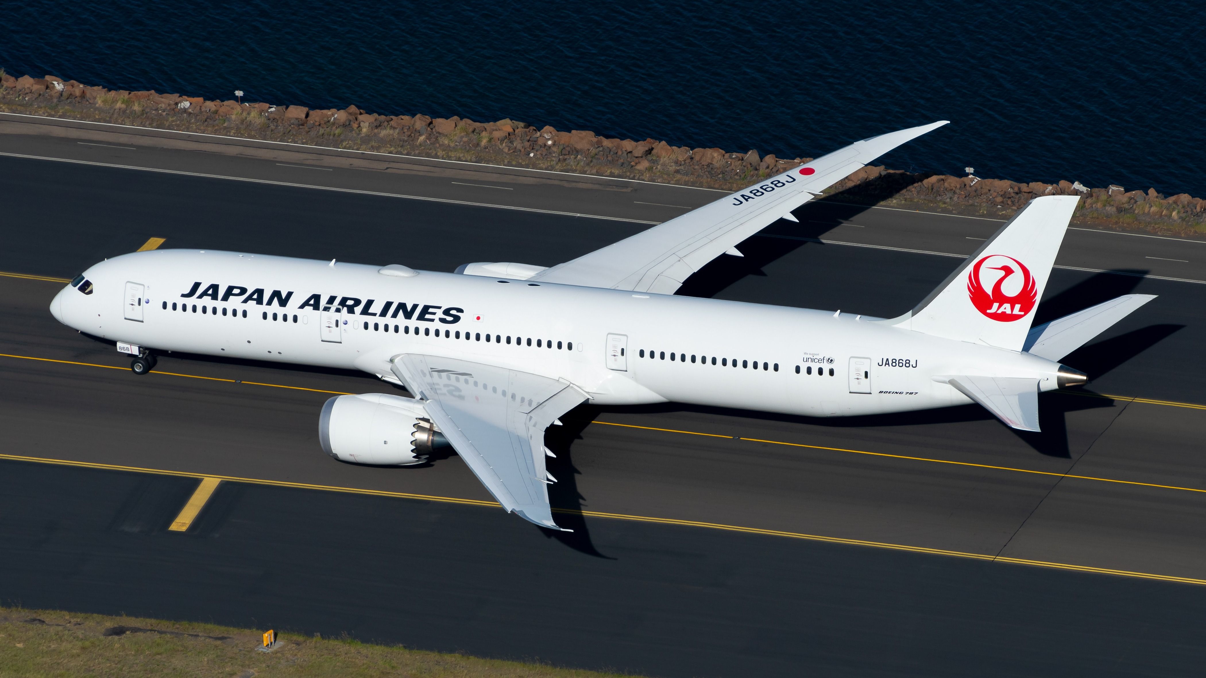 JAL B787-9 レパード JAL - JAL BOEING 787