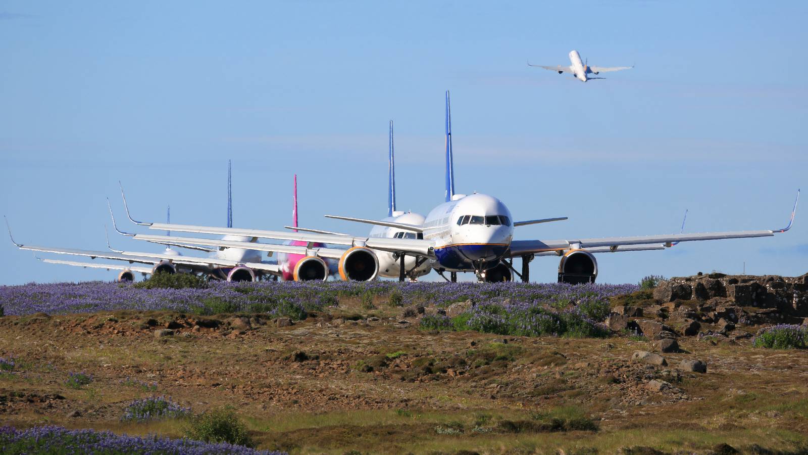 WOW: 6,855 Flights Were Canceled On Friday Following Global IT Outage