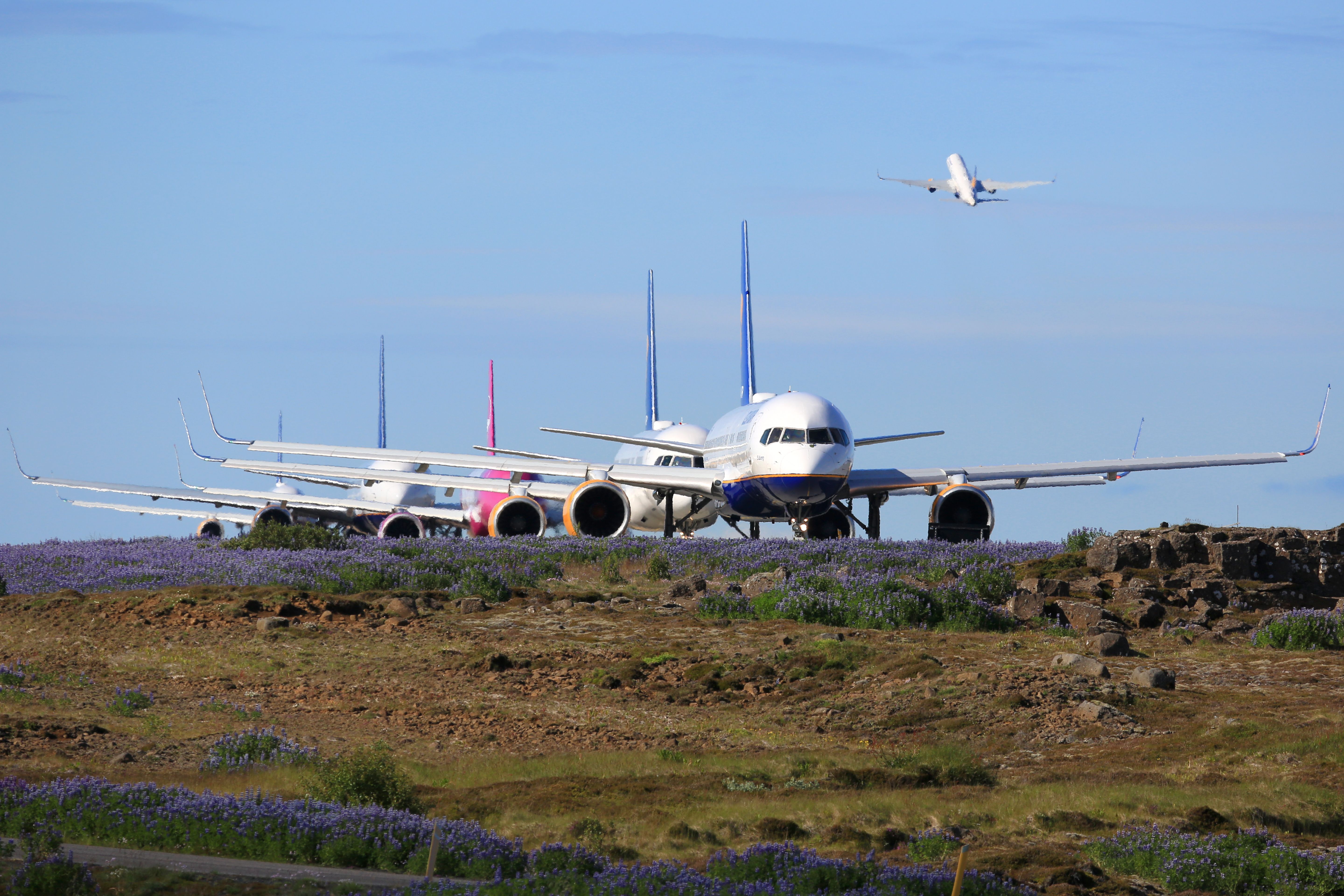 WOW: 6,855 Flights Were Canceled On Friday Following Global IT Outage