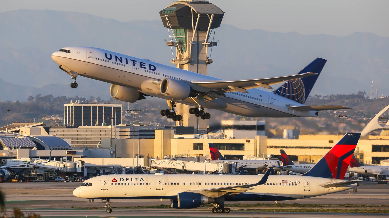 How Do The 'Big 3' US Airlines Approach The Provision Of Vegan Food?