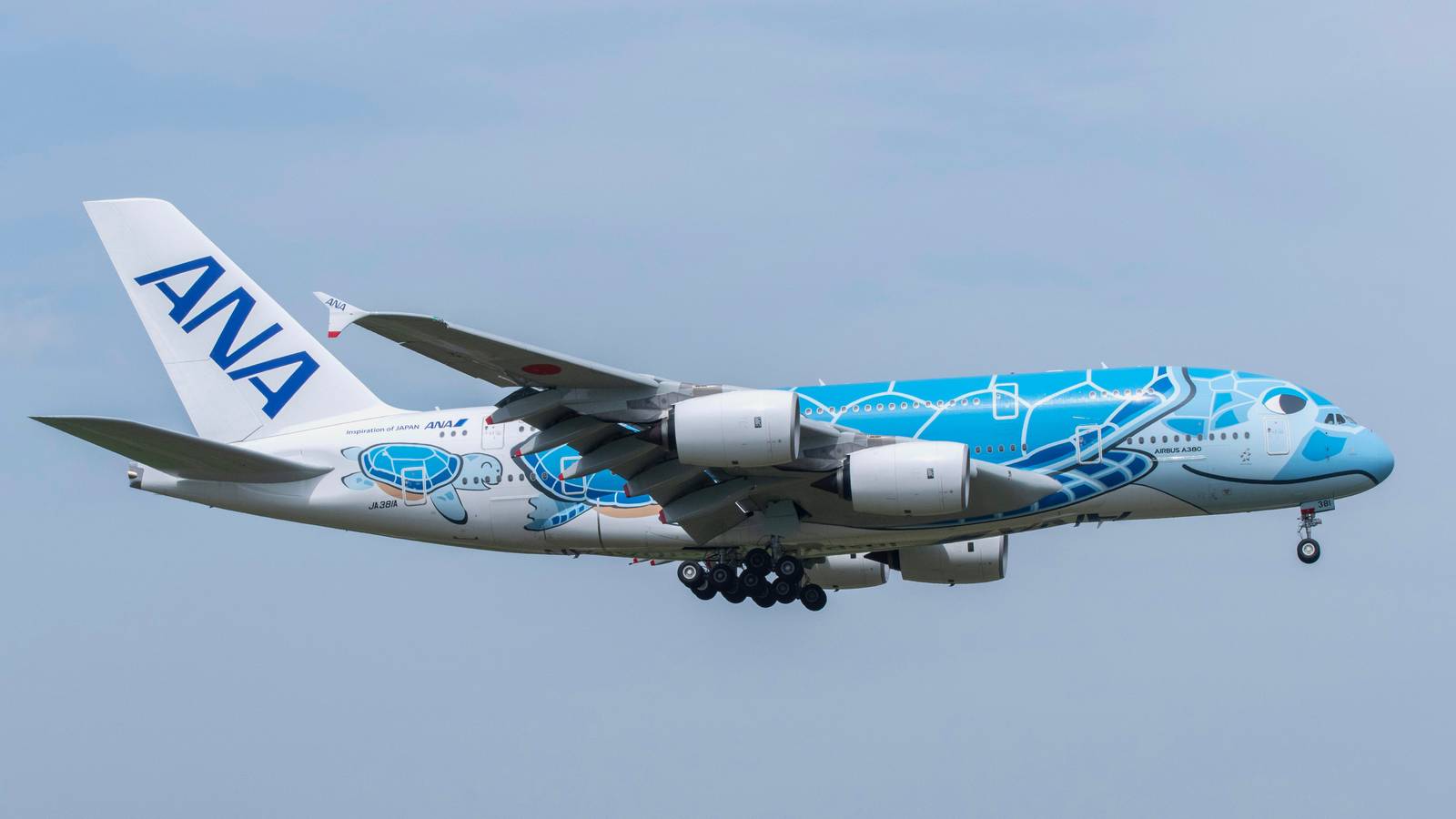 540+ Monthly Flights: Which International Airlines Fly To Hawaii?